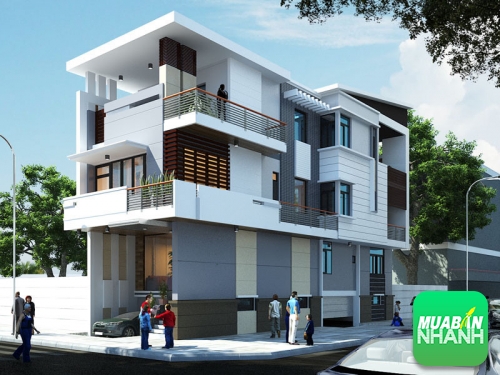 X&acirc;y nh&agrave; tr&ecirc;n đất m&eacute;o hợp phong thủy