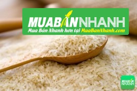 Lựa chọn nồi cơm điện phù hợp tại siêu thị điện máy