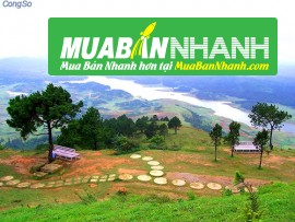 Những địa điểm du lịch nổi tiếng ở Đà Lạt không thể bỏ qua